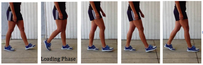 Figure 3.1a — Gait cycle stick figure showing the progression through the stance and swing subphases.